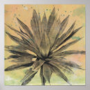 Zoek naar groen plant posters Kust