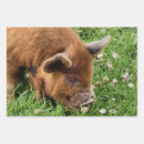 Zoek naar varken cadeaupapier Schatje