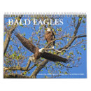 Zoek naar kaal kalenders Adelaars