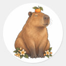 Zoek naar capibara stickers Dierenvriend