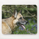 Zoek naar headshot muismatten Alsatian