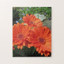 Zoek naar daisy puzzels Meisje