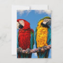 Zoek naar ara uitnodigingen Vogels