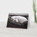 Zoek naar bokser hond kaarten Voor iedereen