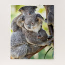 Zoek naar koala puzzels Baby