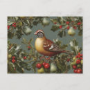 Zoek naar partridge briefkaarten Vintage