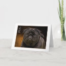 Zoek naar pug notitiekaarten Voor iedereen