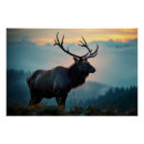 Zoek naar eland posters Voor hem/haar