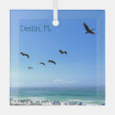 Zoek naar pelikaan ornamenten Oceaan