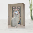 Zoek naar spiegel kaarten Kat