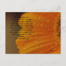 Zoek naar keltische zegen briefkaarten Iers