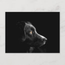 Zoek naar hond silhouet briefkaarten Puppy