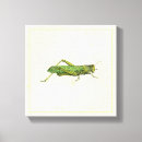Zoek naar insecten kunst Grens