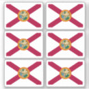 Zoek naar florida vlag stickers Amerika