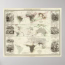 Zoek naar zoölogisch posters Wereld