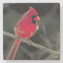 Zoek naar cardinal onderzetters Rood kardinaal