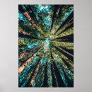 Zoek naar scenic landscape posters Nature