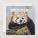 Zoek naar panda valentijnskaarten Beer