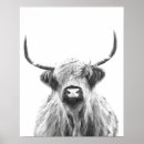 Zoek naar zwarte koe posters Elk persoon