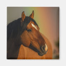 Zoek naar het wild magneten Close up