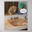 Zoek naar grappige labrador posters Hond