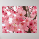 Zoek naar cherry blossom kunst Welkom