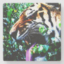 Zoek naar tijger onderzetters Groen