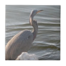 Zoek naar reiger fotografie Water