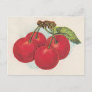Zoek naar retro kersen briefkaarten Cherry