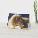 Zoek naar shetland kaarten Sheltie
