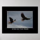 Zoek naar kale adelaar posters Wildernis