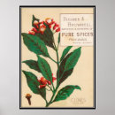 Zoek naar kruidnagel posters Retro