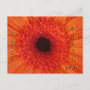 Zoek naar gelukkige verjaardag bloemen briefkaarten Voor iedereen