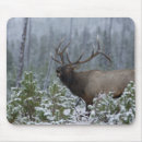 Zoek naar stier muismatten Wild