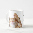 Zoek naar katten humor mokken Kattenliefje