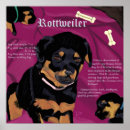 Zoek naar rottweilers posters Rottie