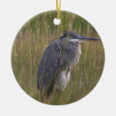 Zoek naar reiger ornamenten Grote blauwe reiger