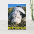 Zoek naar oude engelse herdershonden kaarten Puppy