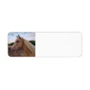 Zoek naar paarden etiketten Pony
