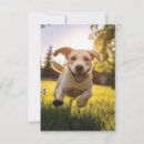 Zoek naar running uitnodigingen Hond