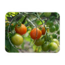 Zoek naar garde magneten Moeder