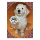 Zoek naar high five briefkaarten Grappig