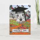 Zoek naar miniature schnauzer kaarten Huisdier