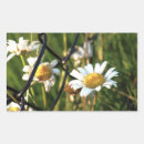 Zoek naar heks stickers Voor iedereen