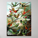 Zoek naar kunstformen natur posters Kleur