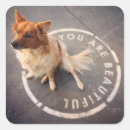Zoek naar australische herder stickers Liefde