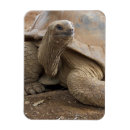 Zoek naar molen magneten Dier