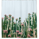 Zoek naar cactus Foto