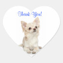 Zoek naar langharige chihuahua stickers Puppy