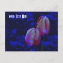 Zoek naar roze tulp briefkaarten Hart